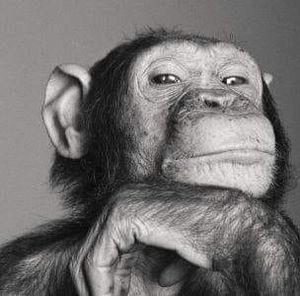 Meet your Posher, Dave